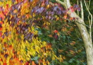 Herbststurm in Wales